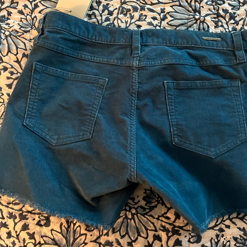 NWT Carve Designs size 2 pacifica shorts - Picture 4 of 4